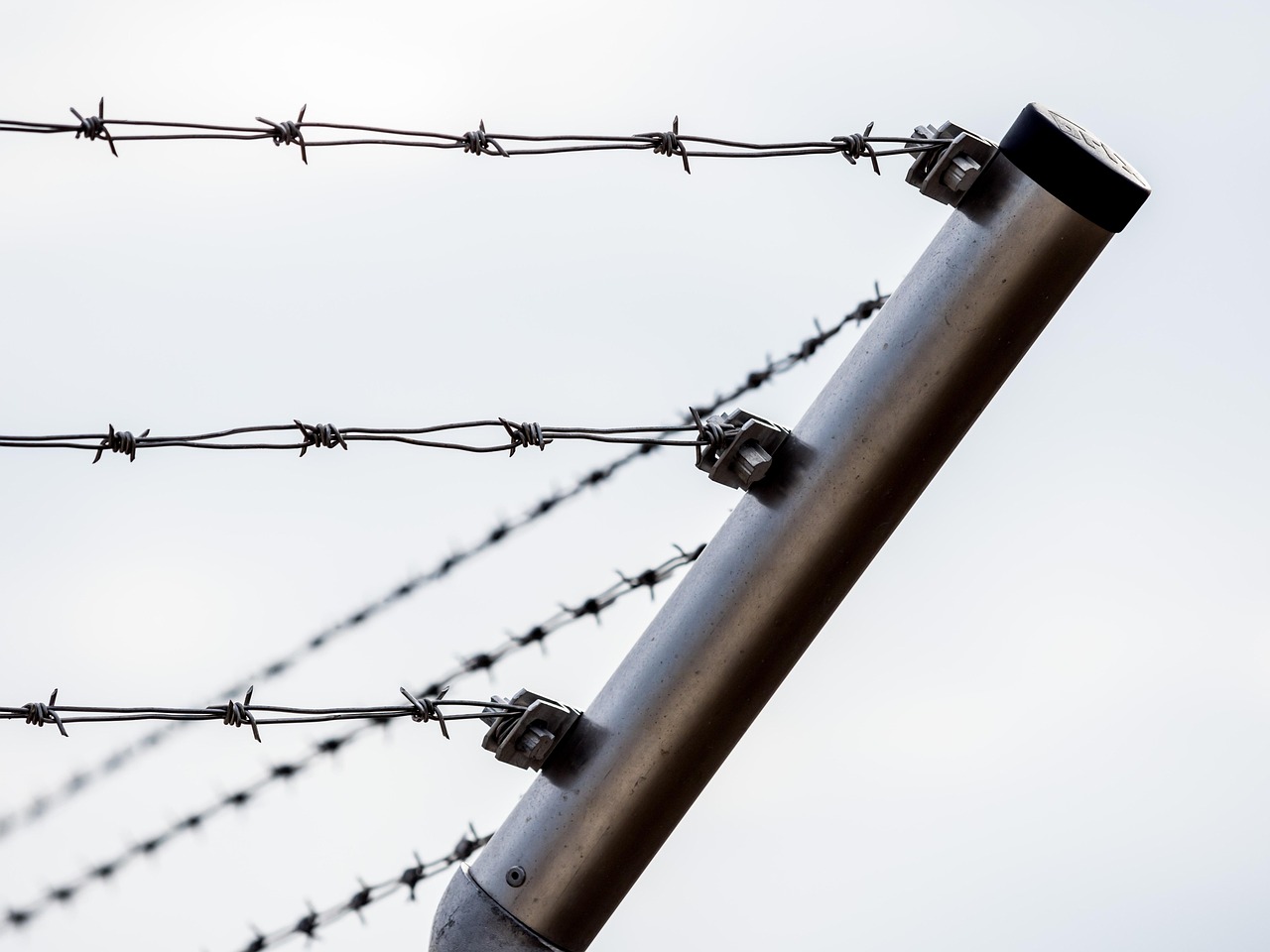 fence, barbed wire, wire, jail, security, barrier, delimitation, obstacle, limitation, barbed wire fence, locked, migrants, warehouse, migration, immigration, immigrants, refugees, pointed, danger, shut off, barbed wire, barbed wire, barbed wire, jail, migrants, migrants, migrants, migrants, migrants, immigration, immigration, immigration, refugees, refugees, refugees